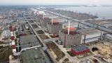 Власти Запорожской области обвинили ООН в нежелании содействовать визиту МАГАТЭ