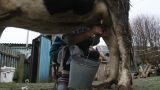 «Аграрная держава» в «райском саду»: украинские аграрии не видят перспектив развития