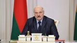 Лукашенко помиловал очередную партию осужденных за экстремизм
